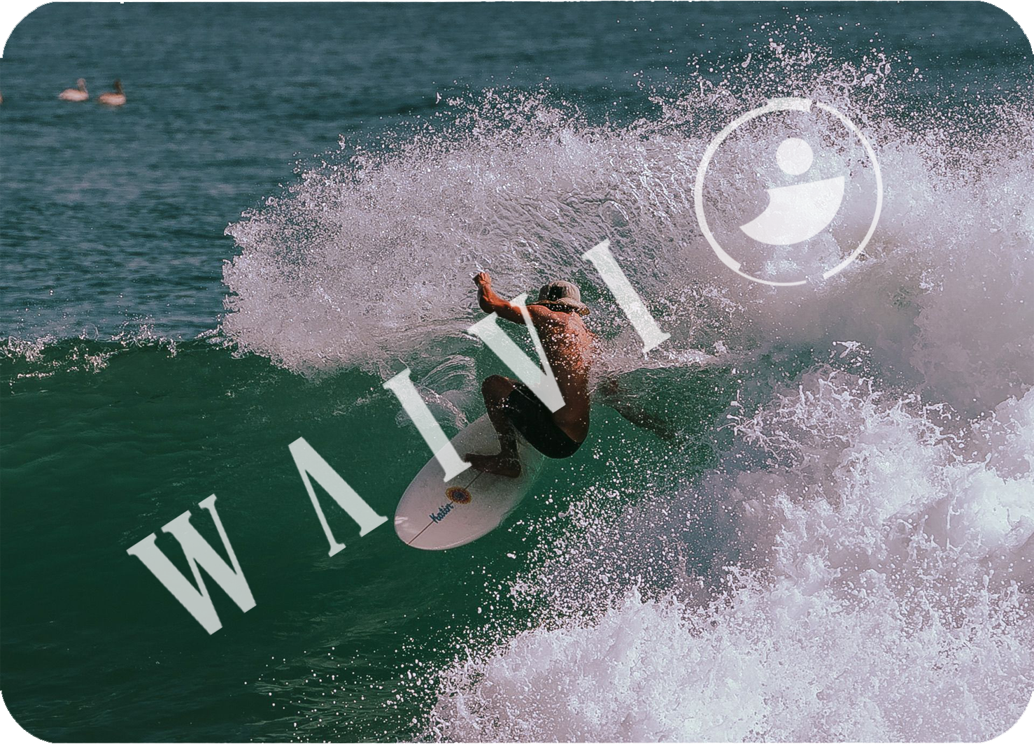 Preview the waves from your session